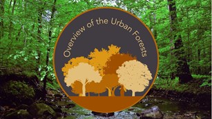 Overview of the Urban Forests icon of tree silhouettes. Icon put over photo of Prince William Forest