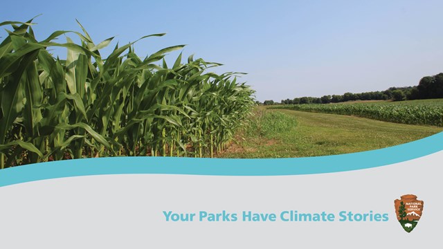 Wetlands grass landscape. Your Parks Have Climate Stories