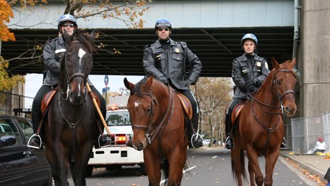 The New York Field Office Horse Mounted Unit patrols during the New York City Marathon in 2013.