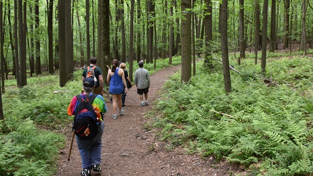 A group of kids are wearing hardhats and working on a trail with shovels.
