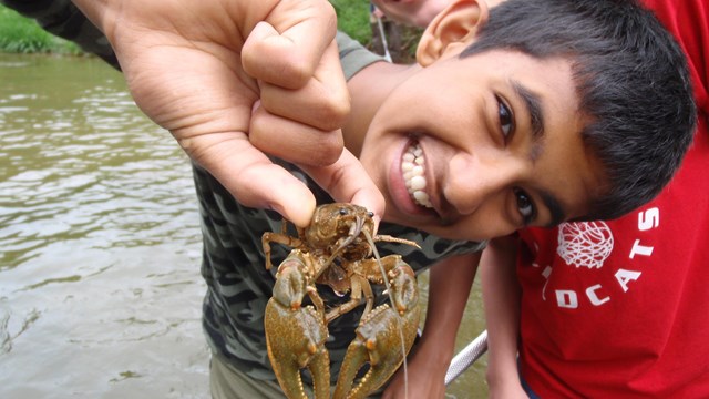 A young boy stands in a creek holding up a crayfish.