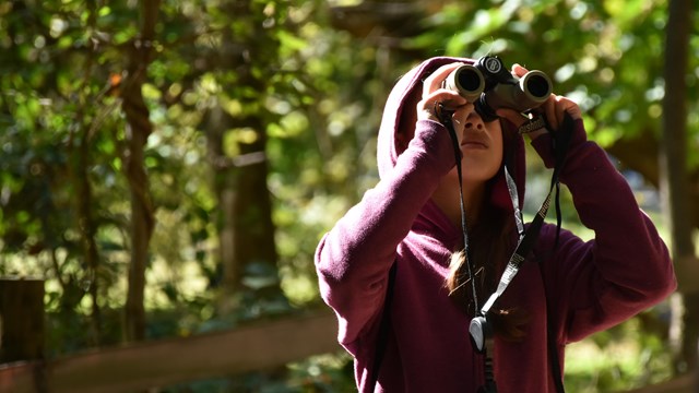 A child stands on a wooded trail looking through binoculars.