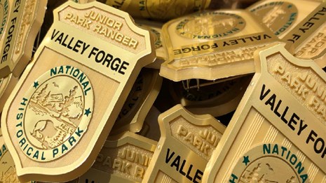 Junior Ranger Badges