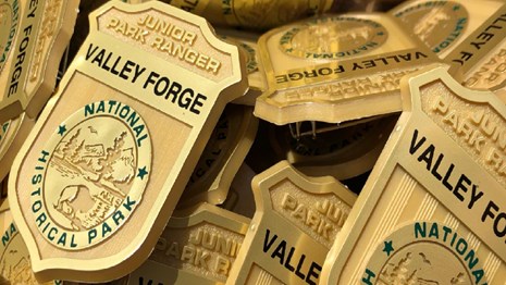 Junior Ranger Badges