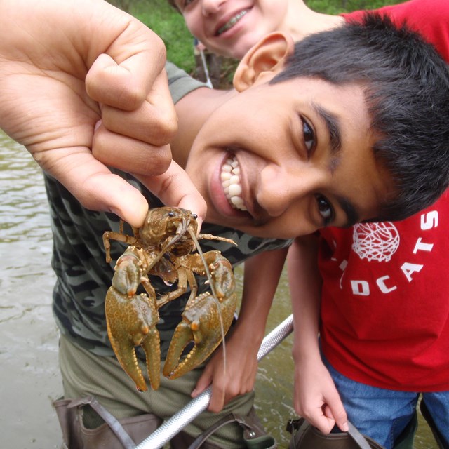 A young boy stands in a creek holding up a crayfish.