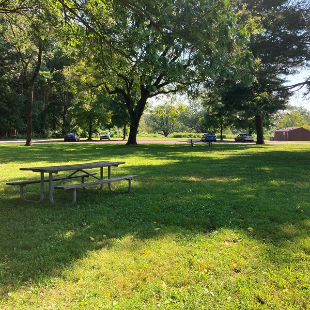 a wooden picnic table surrounded by grass sits in the shade of a tree