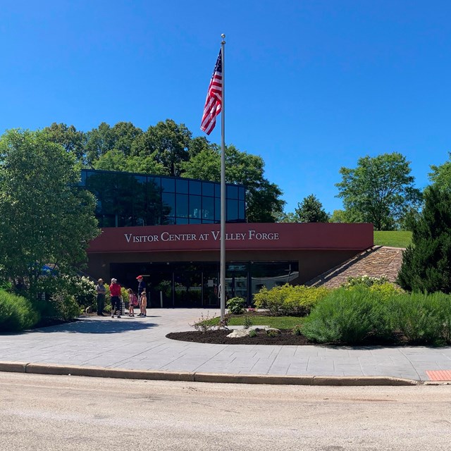 Trees, sidewalk, and a building with a flag flying out front