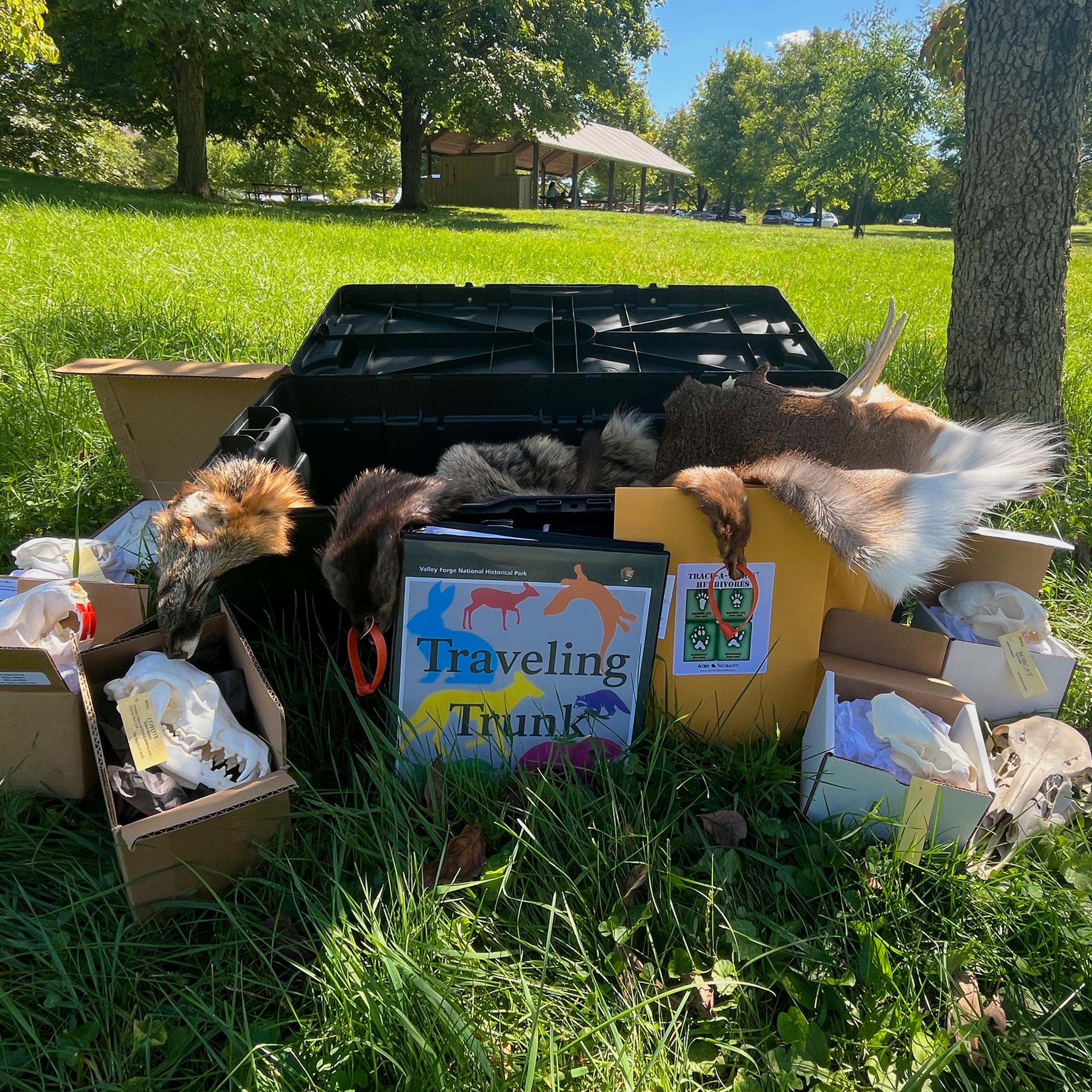 black plastic trunk with lid open on grassy lawn. educational materials surround the open trunk.