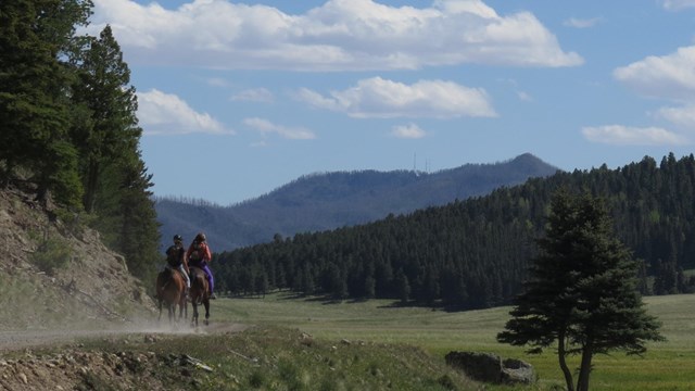 A horseback rider on a gravel road in a large, grassy valley.