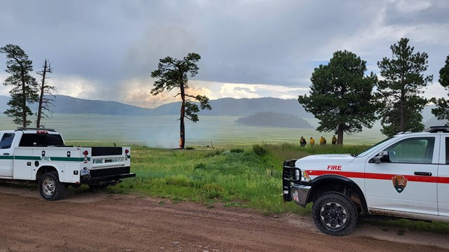 Two firetrucks park on a road near a small fire that burns a single pine tree.