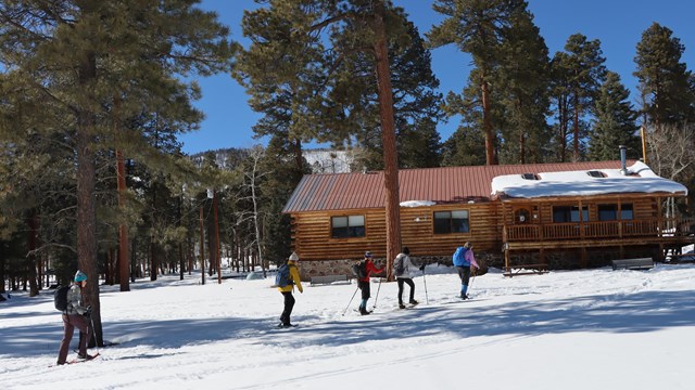 A line of cross-country skiers approach a log cabin surrounded by snowy pine trees.
