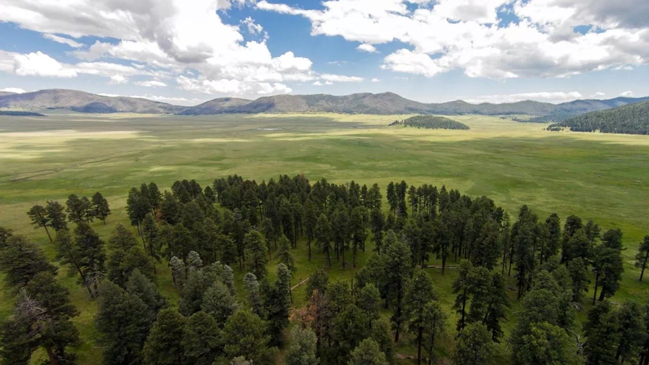 Overlooking an expansive, grassy valley with forested peaks in the background