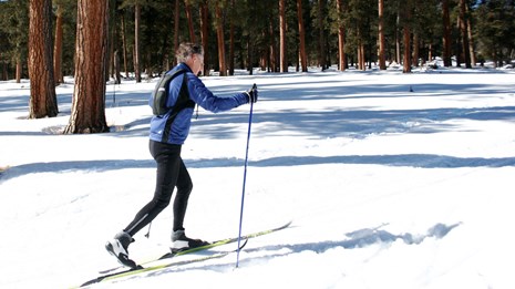 A man cross-country skiing through a forest