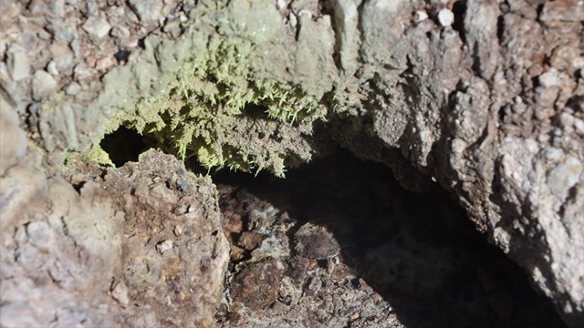 Tiny yellow rock crystals form at the opening of a volcanic fumarole.