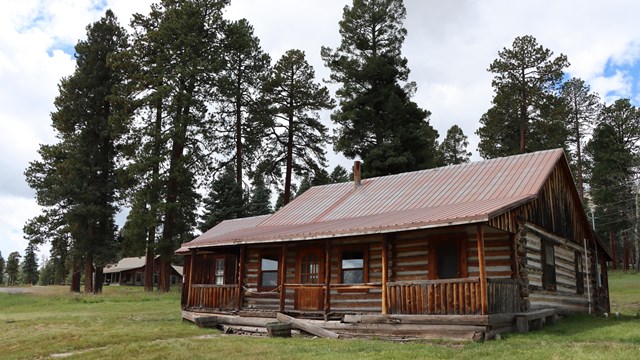 A log cabin in front of an evergreen forest.