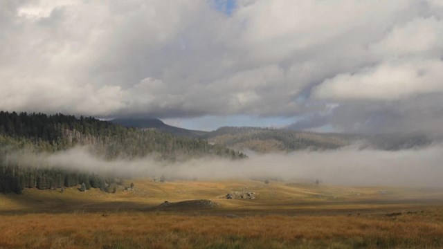 A golden montane valley shrouded by fog.