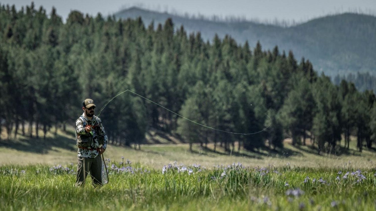 A flyfisherman casts a line into a narrow mountain stream surrounded by tall grasses.