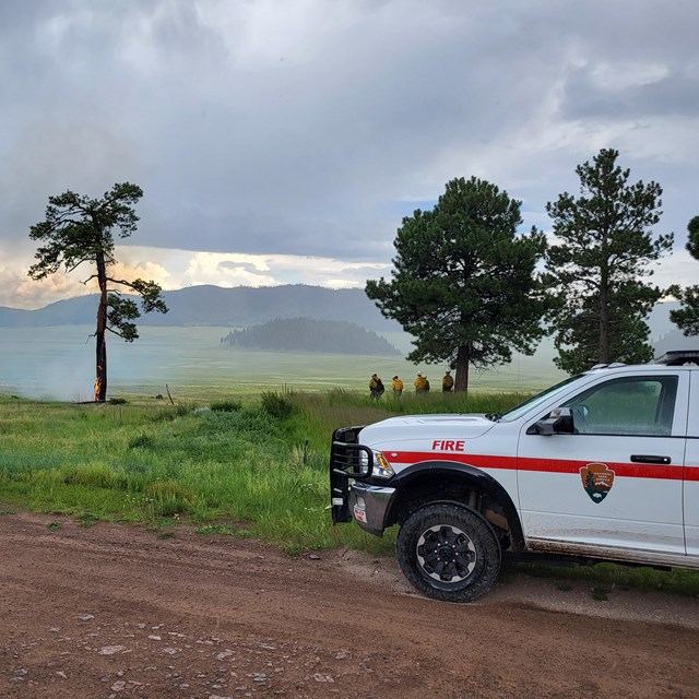 Two firetrucks park on a road near a small fire that burns a single pine tree.