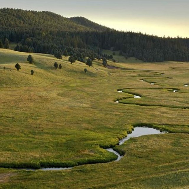 A narrow stream meanders through a grassy meadow