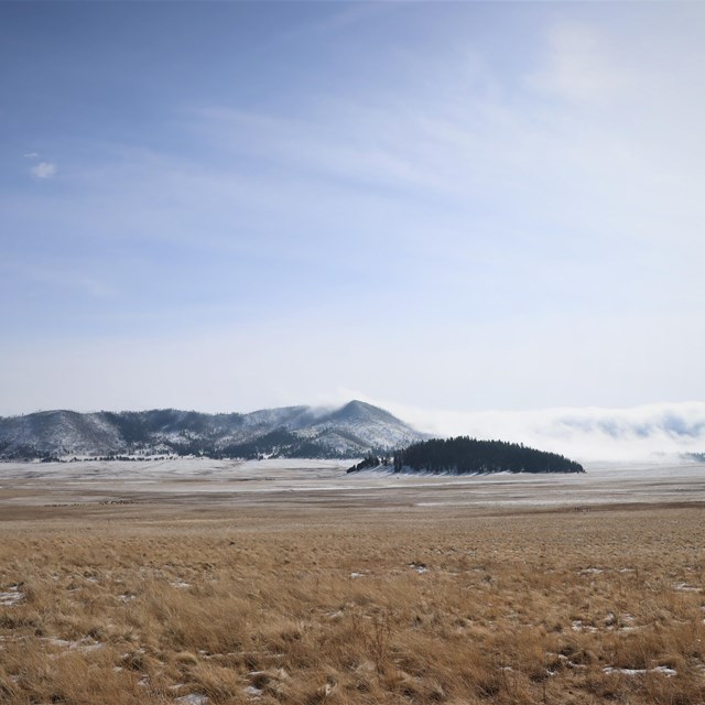 A small, forested dome amid an expansive, foggy valley.