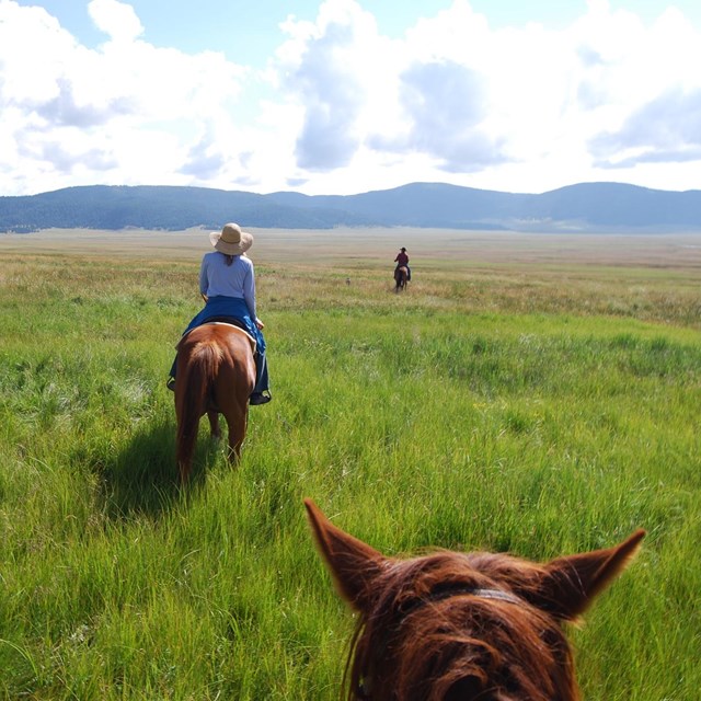 A group of horseback riders rides through a grassy valley.