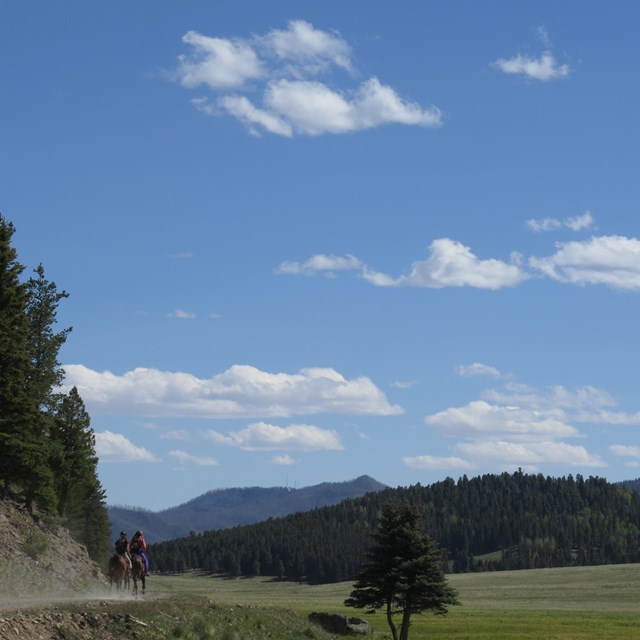 Two horseback riders on a gravel road through a montane grassland
