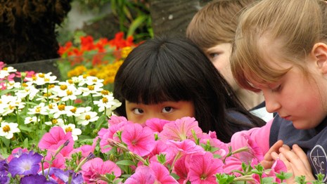 Two young girls examine flowers.