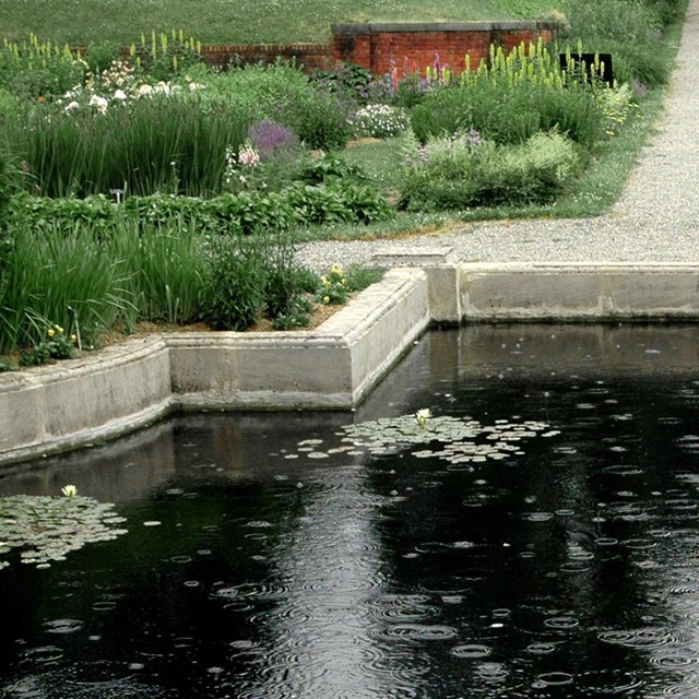 A reflecting pool surrounded by garden plantings.