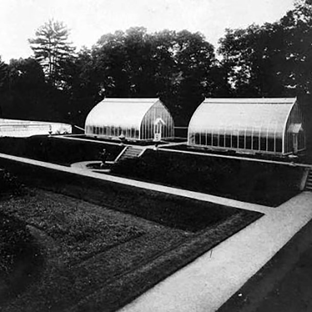 A black and white photo of greenhouse complex within a formal garden.