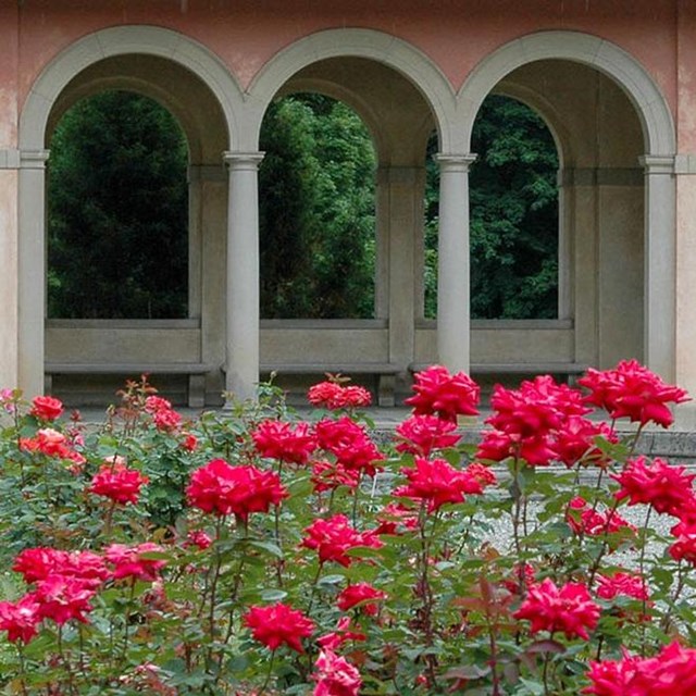 A pink stucco loggia in a rose garden.