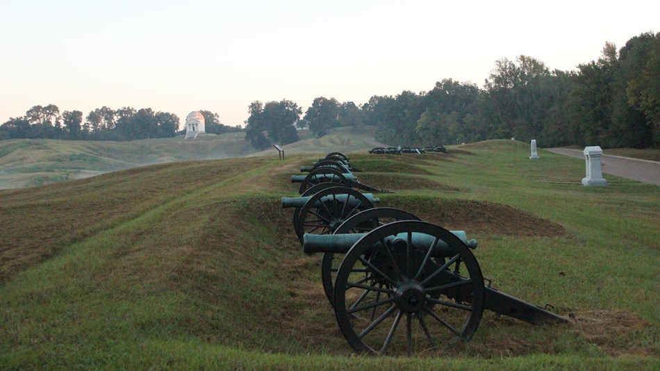 Row of Cannons Vicksburg National Military Park, Mississippi