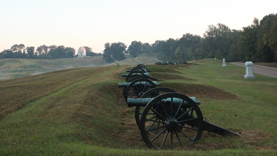 Row of Cannons in front of the Illinois Memorial in light fog