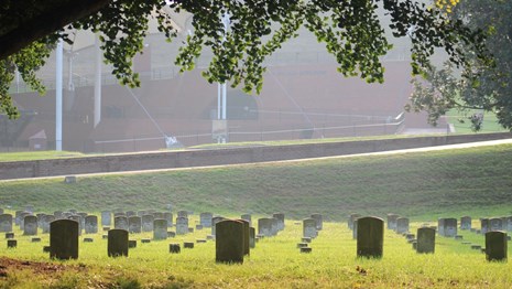 Union soldier's graves underneath a tree