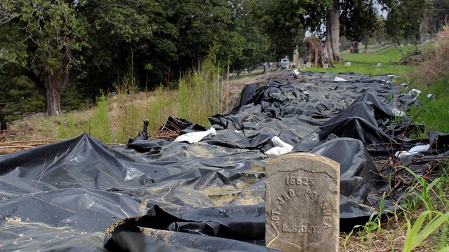 Large black tarps lay near a headstone in an affected area in the National Cemetery. 