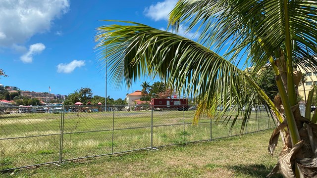 A palm tree frames the view of a ballfield surrounded by a chainlink fence.