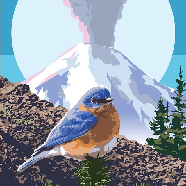 illustration of a bird with a volcanic mountain in the background
