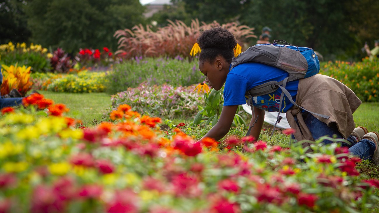 A kneeling girl works in a flower bed.