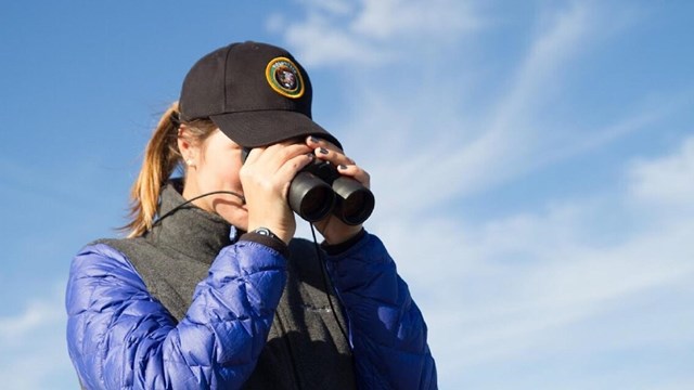 A young woman in a volunteer hat looks down through binoculars.