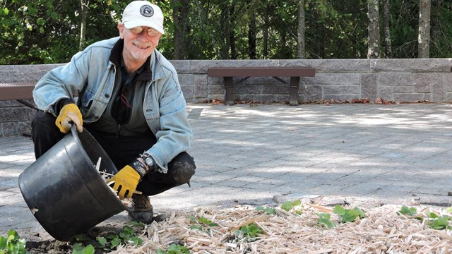 Volunteer spreading mulch along a trail.