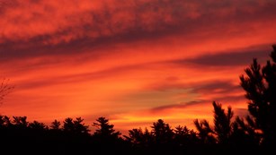 Sunset over the trees on Rainy Lake