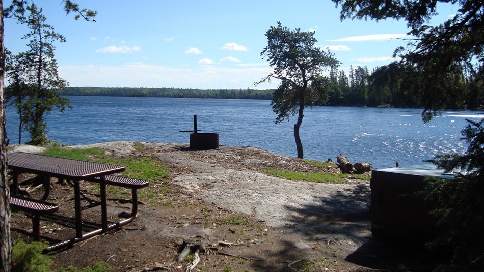 View of a campsite with a picnic table and fire ring.
