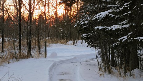 A cleared path of snow heading down the Oberholtzer trail.