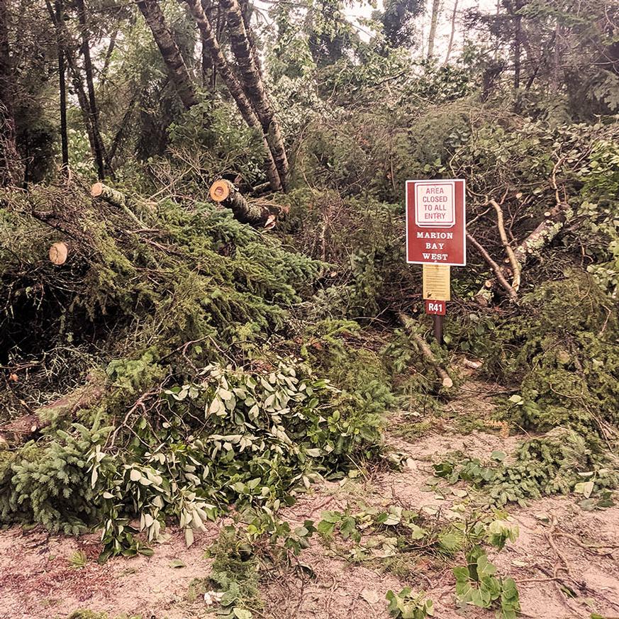 A small sign labeled 