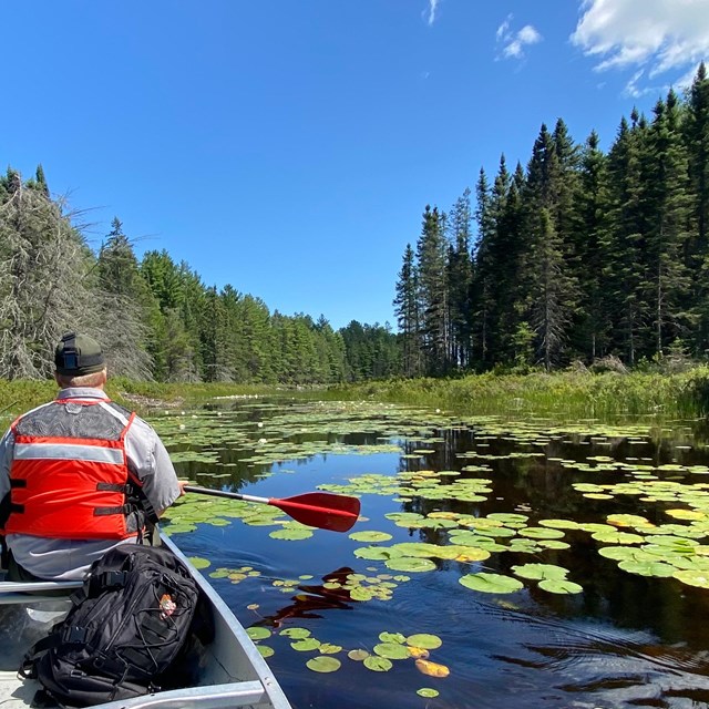 Paddling a canoe between Locator and War Club Lakes in the backcountry of Voyageurs National Park