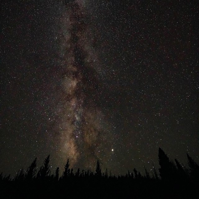 A bright line of stars stretches across a dark horizon lined by shadowy silhouettes of trees