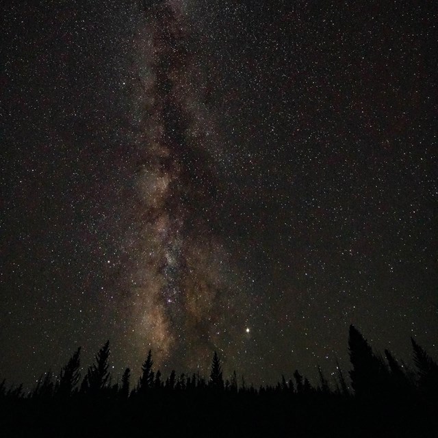 A bright line of stars stretches across a dark horizon lined by shadowy silhouettes of trees