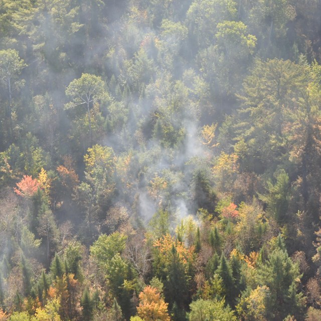Image of smoke coming out of the treetops in the fall
