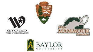 Partnerships