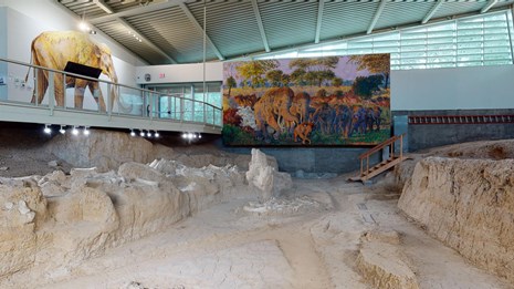 Interior of a large building. There is excavated area with fossils protruding from the ground.