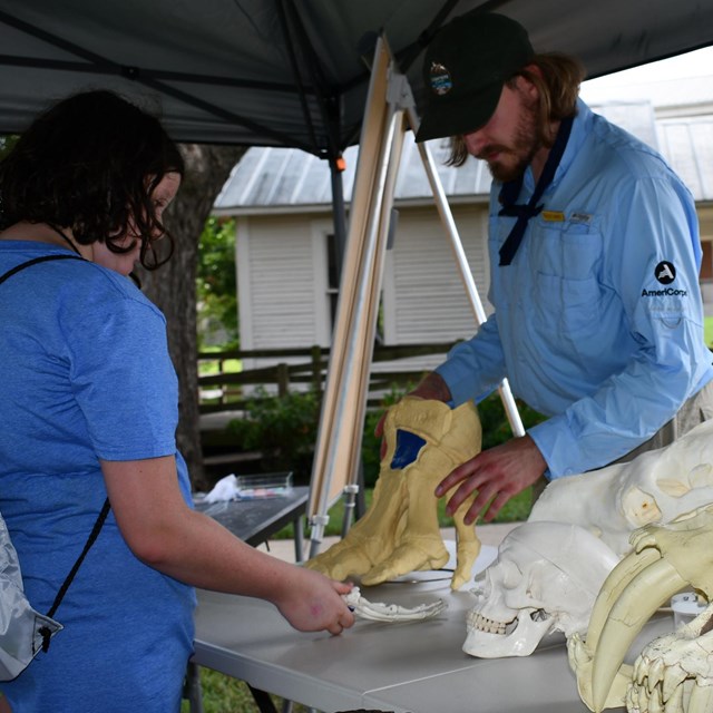 A Scientist in Park talks about a table full of fossil replicas